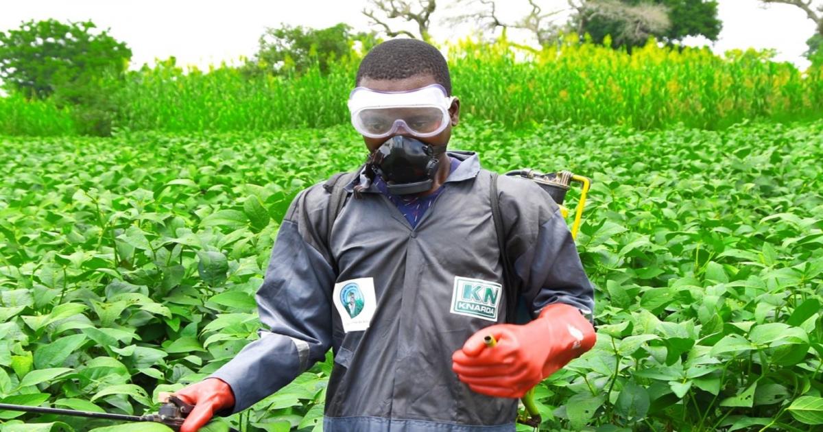Revolutionizing Farming Practices in Kano IsDB, nurturing hope and spurring development News